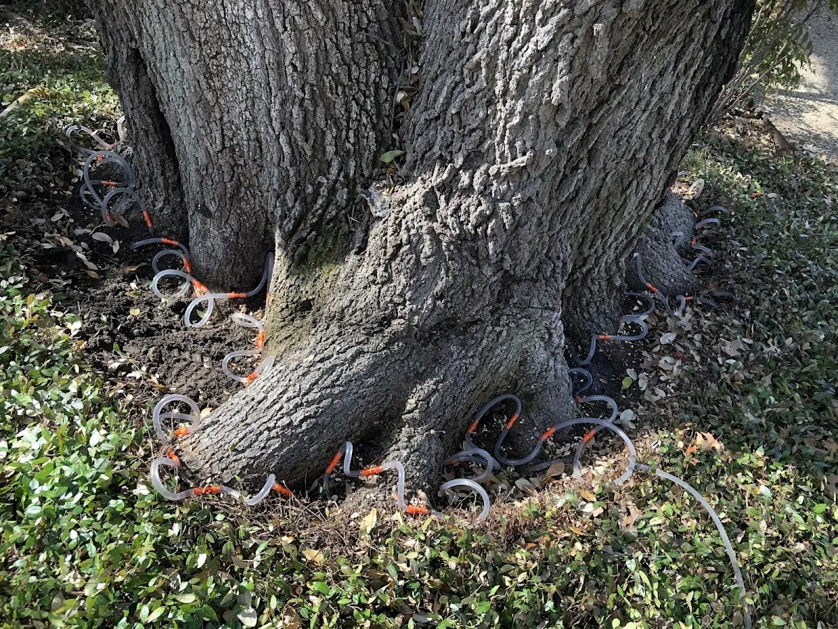 Detailed Shrub and Hedge Trimming job site in Lowes