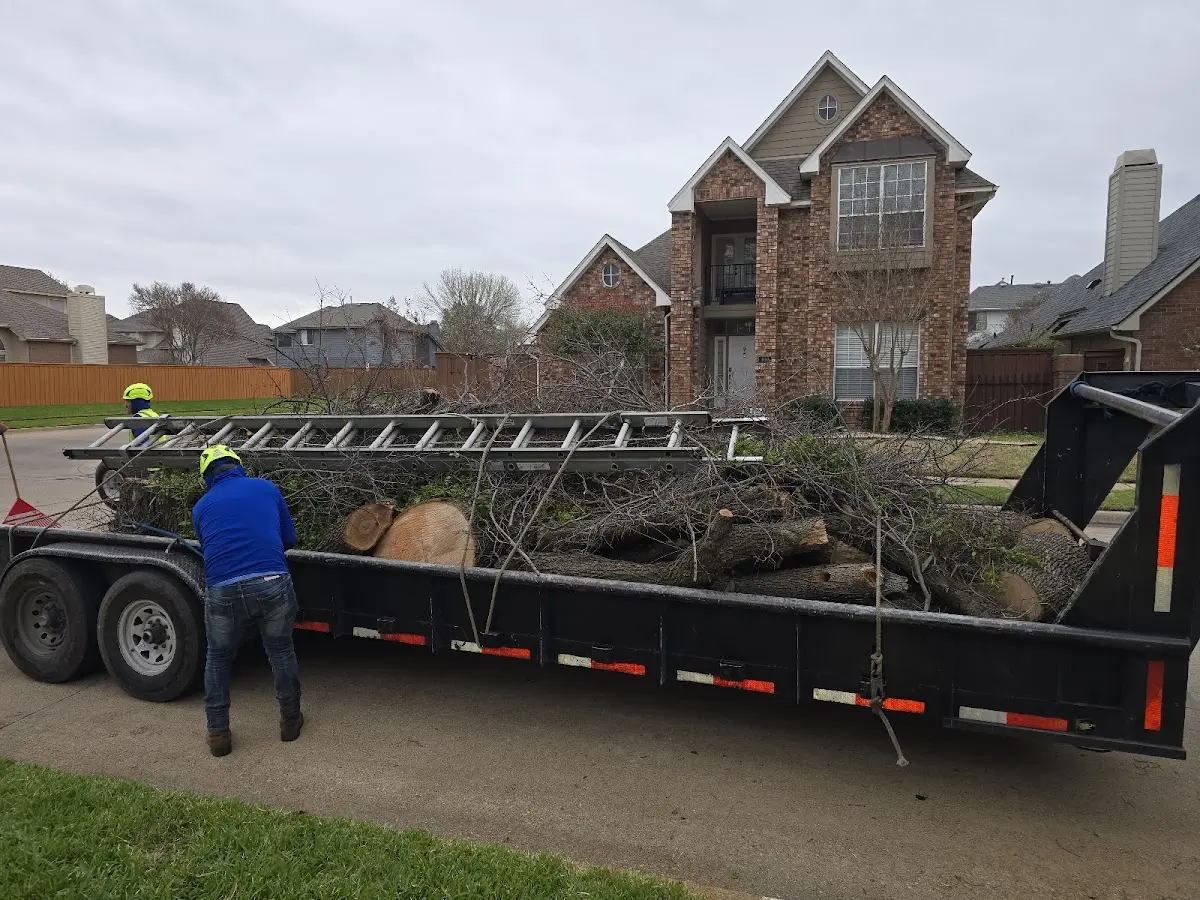 Expert Lot Clearing with proper safety equipment in Lowes